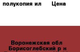 полукопия ил 2 › Цена ­ 6 000 - Воронежская обл., Борисоглебский р-н, Борисоглебск г. Хобби. Ручные работы » Моделирование   